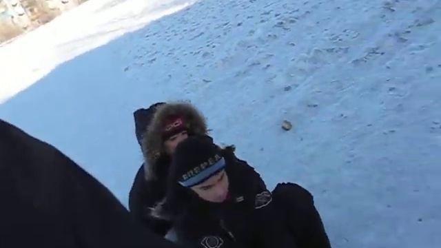 Рекс тянет сани. смотреть онлайн