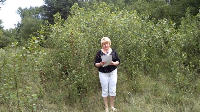 Авторские стихи ДЕНЬ РЫБАКА смотреть онлайн