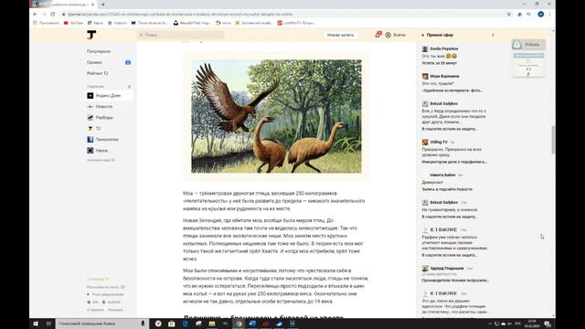ТОП 5 | ЖИВОТНЫЕ ИСТРЕБЛЕННЫЕ ЧЕЛОВЕКОМ смотреть онлайн