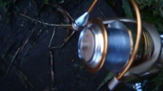 Фидерная ловля на р.Клязьма 01.07.2015г . / Feeder fishing on r.Klyazma 01.07.2015g . смотреть онлайн