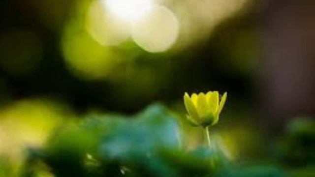 Счастливого вам утра.) НИКОГДА - один из вариантов КОГДА или Как не закрыть себе возможные вариант смотреть онлайн