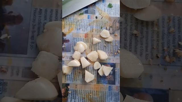 РУЛЕТИКИ С НАЧИНКОЙ НА КОСТРЕ ИЗ БАКЛАЖАН И КАБАЧКОВ !!! смотреть онлайн