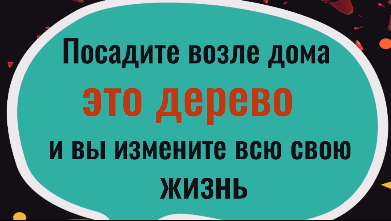 Обязательно посадите это дерево и вы измените всю свою жизнь смотреть онлайн