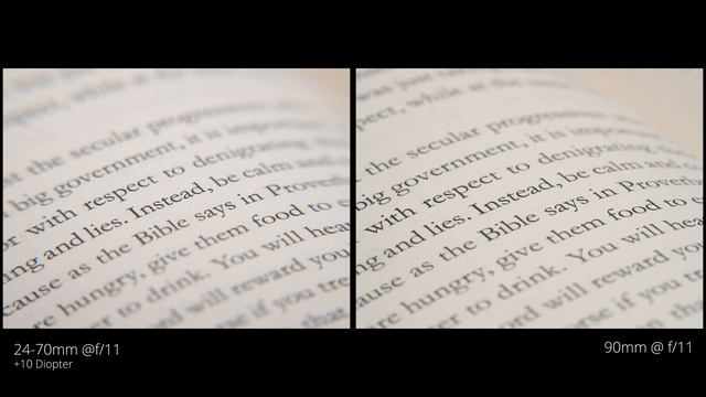 Sony 90mm Macro Lens vs. Diopter Filters for Photography смотреть онлайн