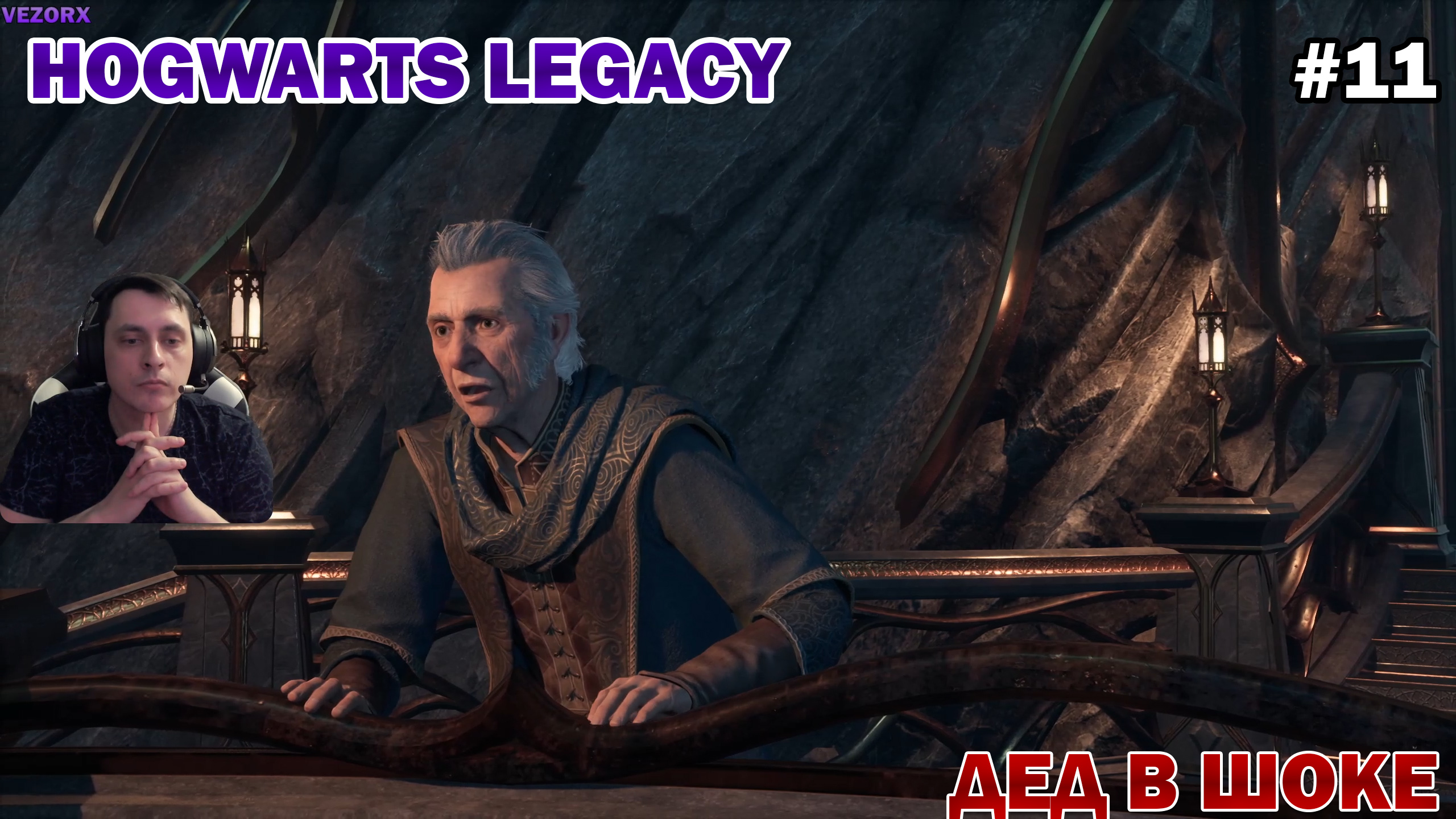 ДОСТАВКА ЗЕЛИЙ ► Hogwarts Legacy #11 смотреть онлайн