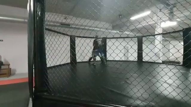 Gio vs Tulio Palhares 3 смотреть онлайн
