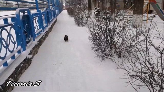 Херсон 2022| На выпавший на белый.... Victoria S смотреть онлайн