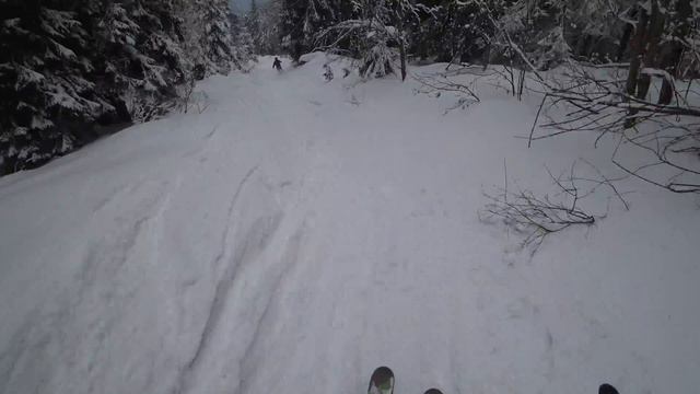 Trostyan - 2020 freeride skiing, forest, jumps and hard falls, K5 and more смотреть онлайн