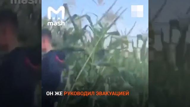 Самолёт "Уральских авиалиний" совершил вынужденную посадку на кукурузное поле. смотреть онлайн