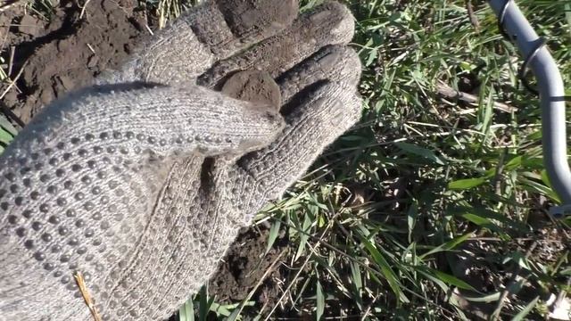 ПОПАЛ НА ОГОРОДЫ ВО ВРЕМЯ.ГЛАВНОЕ НЕ ТЕРЕТЬ.ПОИСК С  RUTUS Alter 71