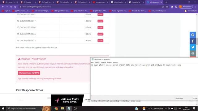 why krnl.ca is down? смотреть онлайн