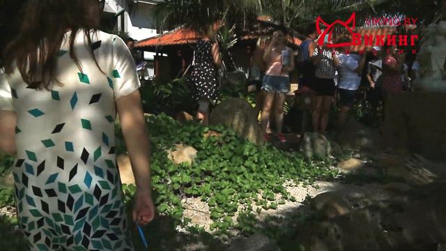 Обзор отеля Ориентали (Oriental Nha Trang Hotel). Отдых во Вьетнаме, Нячанг смотреть онлайн