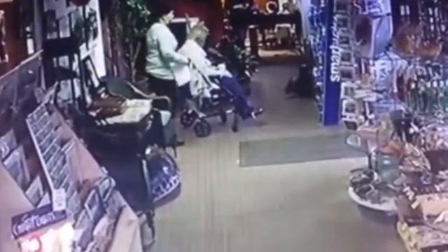 В калифорнийский магазин забрался морской лев смотреть онлайн