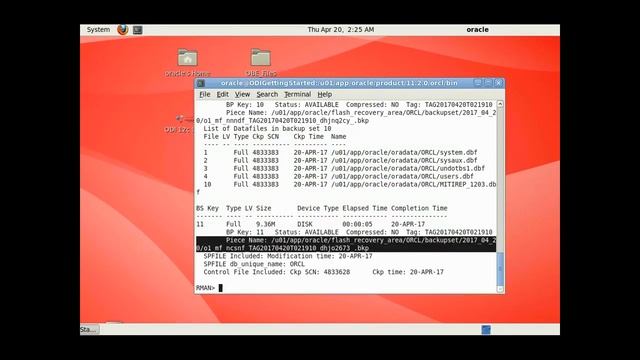 BACKUP EN ORACLE 11G CON RMAN смотреть онлайн