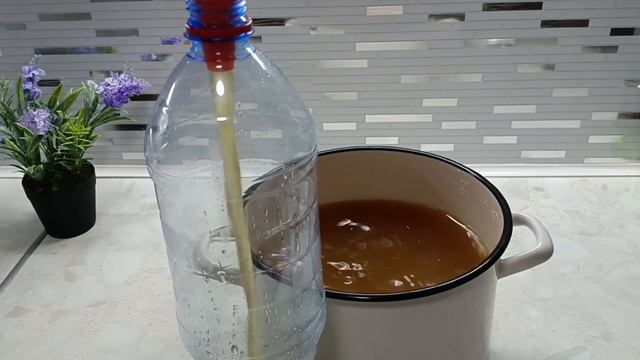How to cook kvass? Healthy chicory drink. Вкусный напиток, как квас. смотреть онлайн