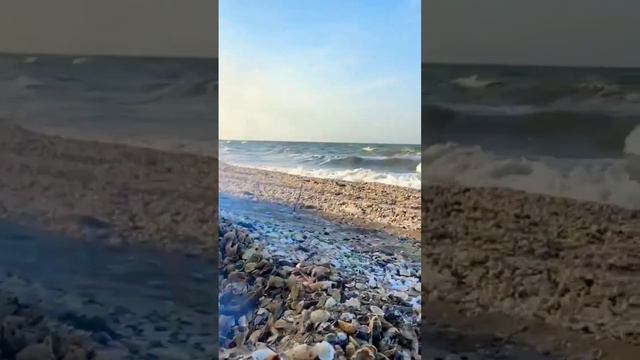 Берег моря, чай на костре, жизнь прекрасна 🌅 Посёлок Кучугуры, Азовское море. Подписывайтесь на нас смотреть онлайн