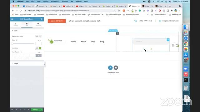 Phlox Pro Elementor WordPress Theme customize смотреть онлайн