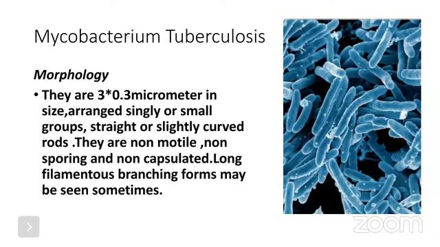 Ocular Bacteriology; An overview of some bacteria that causes ocular infection смотреть онлайн
