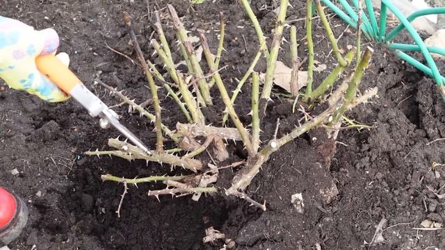 Стройка Сборник