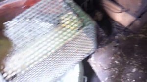 Крысоловка своими руками (часть1)