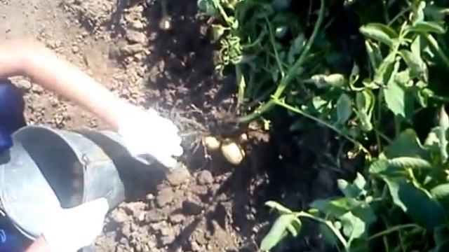 Универсальная Чудо лопата смотреть онлайн