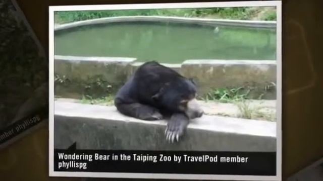 "Taiping-Full of discoveries" Phyllispg's photos around Taiping, Malaysia (hotspring in taiping) смотреть онлайн