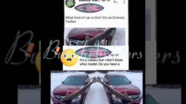 Pt. 2* Idaho4 * Is Emma Bailey The Big Boss Lady Who Knows Everything But Says Nothing? смотреть онлайн