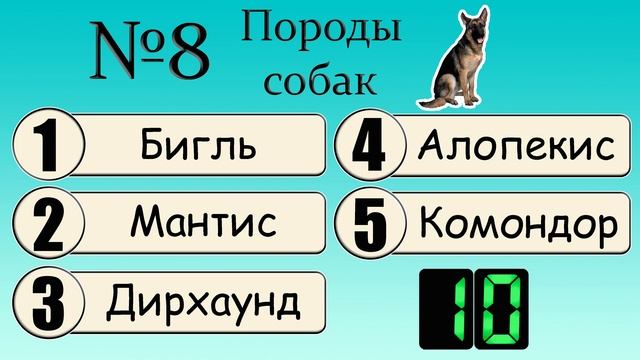 Найди слова, которых нет в русском языке | Тест на проверку вашего словарного запаса и эрудиции смотреть онлайн