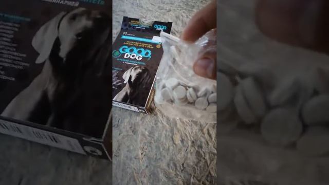 Good dog крепкий иммунитет с ламинарией - Good dog strong immunity with kelp смотреть онлайн