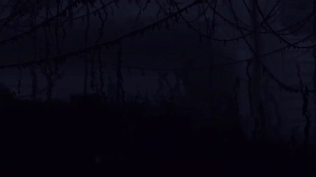 Rain World: Downpour | Creatures Teaser смотреть онлайн