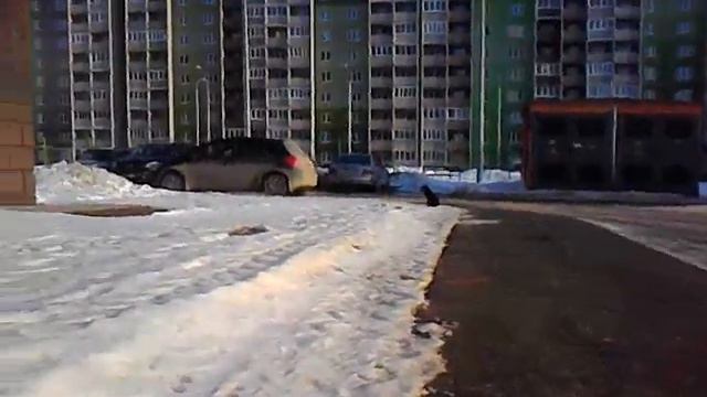 Тара гуляет смотреть онлайн