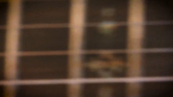 Super Rare Schecter Hellraiser Avenger - In Review