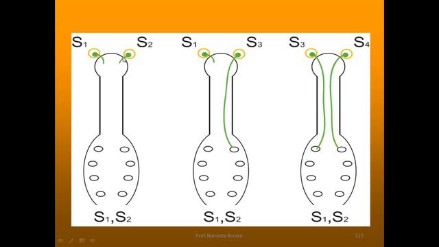Contrivances for Pollination (Reproduction in Lower and Higher Plants : Part-7) смотреть онлайн