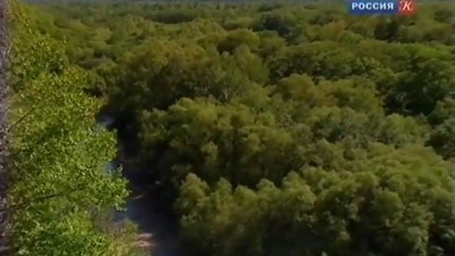Земля Владимира Арсеньева - Дальний Восток - Письма из провинции смотреть онлайн