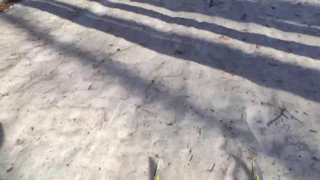 06.04.2023 парк "Дружба" г. Владимир. смотреть онлайн