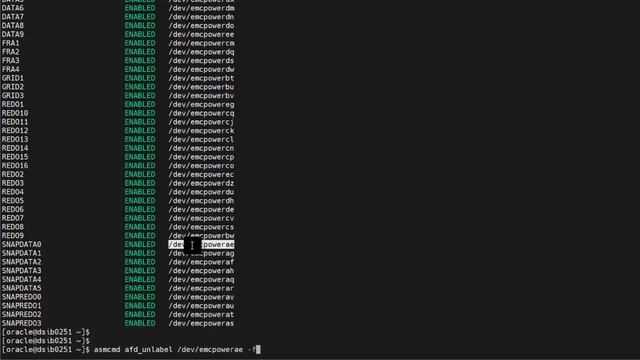 Dell PowerMax - Refresh a storage snapshot of Oracle RAC database смотреть онлайн