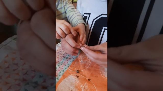 Как открыть кедровую шишку смотреть онлайн