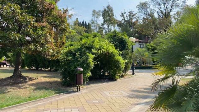 Сочи наводнили богомолы смотреть онлайн