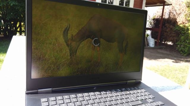 Testbericht - Erfahrungsbericht - Lenovo Legion Y740 17IRHg Gamer Notebook