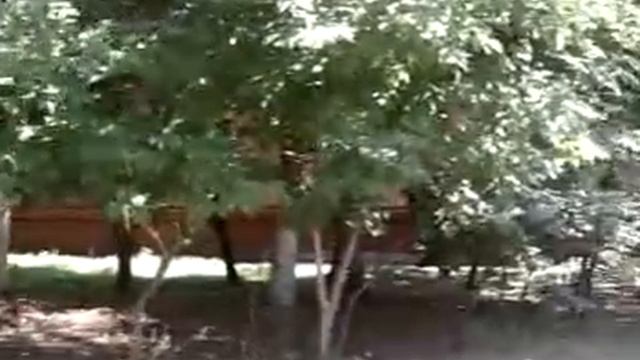Видео-Москва, ул.Вяземская,д.4 смотреть онлайн