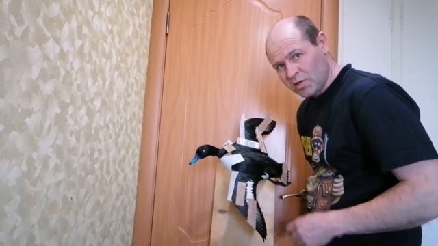 Чучело утки "хохлатая чернеть" смотреть онлайн