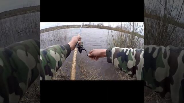ЧЕСНОЧНЫЙ СПРЕЙ, ЧЕРВЬ И ЛЕЩ НА БЕРЕГУ.#shorts #лещ #рыбалка смотреть онлайн