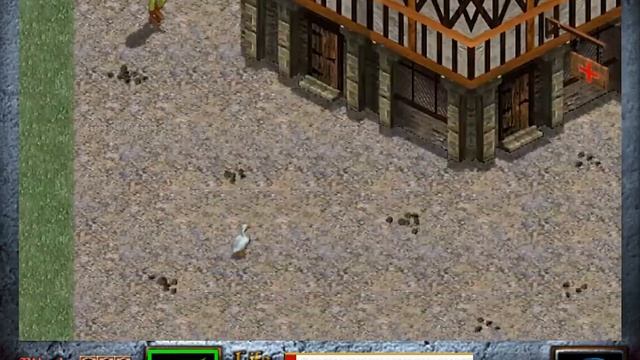 Dink Smallwood: Crazy Open Source RPG смотреть онлайн