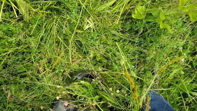 Bass and Crappie Fishing on Micro Crankbait Vs Berkley Gulp Minnows смотреть онлайн