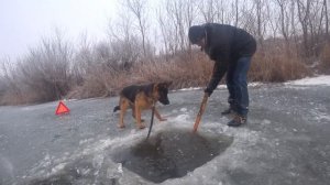 НАМЫВАЕМ МОТЫЛЯ  Как правильно намыть мотыля для рыбалки