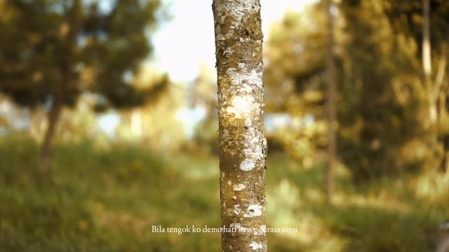 NANGGONG GITU LALU - Zaidi Buluh Perindu | Fai Official Cover version смотреть онлайн