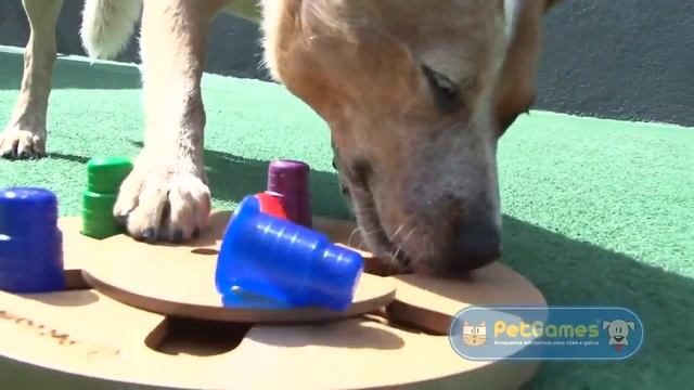 Tabuleiro Roleta - Pet Games смотреть онлайн