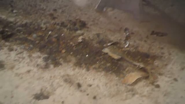 Эстетика Дома