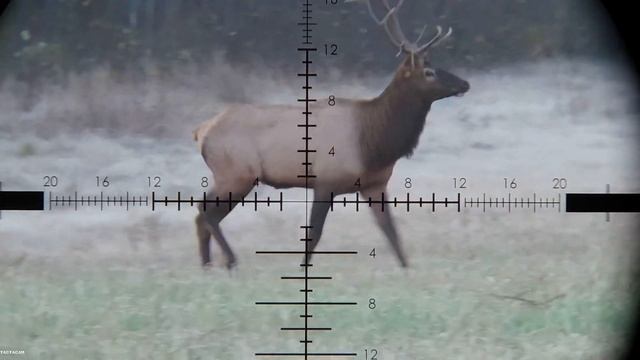 Bull Elk Hunt 6.5 PRC смотреть онлайн