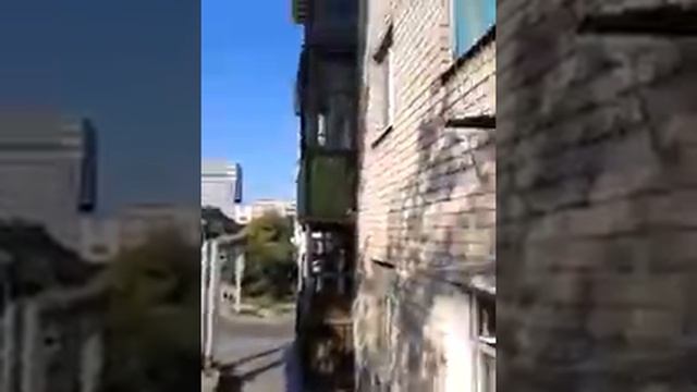 Как защитить балкон от голубей смотреть онлайн